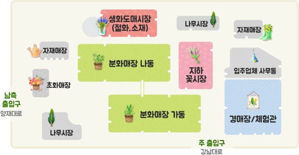  [양재꽃시장] 생화도매시장 / 분화매장 튤립구근 심어서 망한 후기