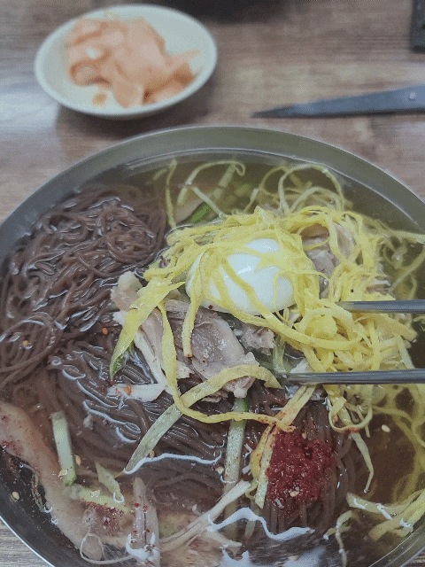  대전 냉면맛집 원미면옥/ 진주냉면 이설옥 비교