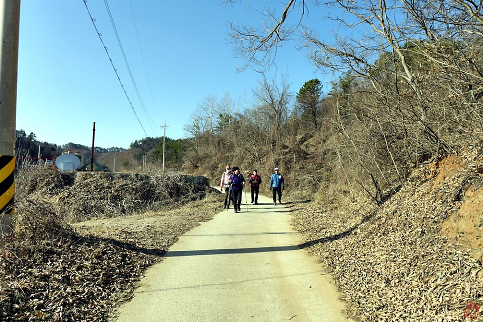 붕산 사진 4