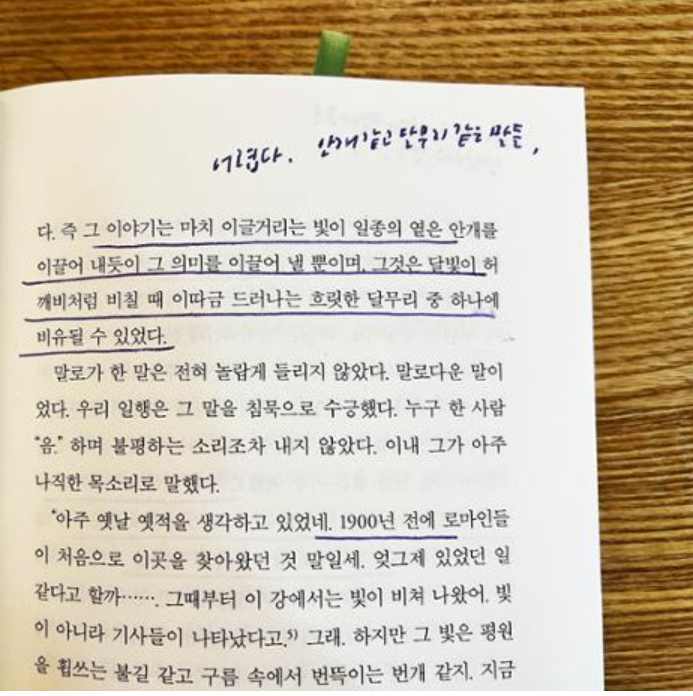  책에는 아무리 밑줄을 그어도 상처가 남지 않는다