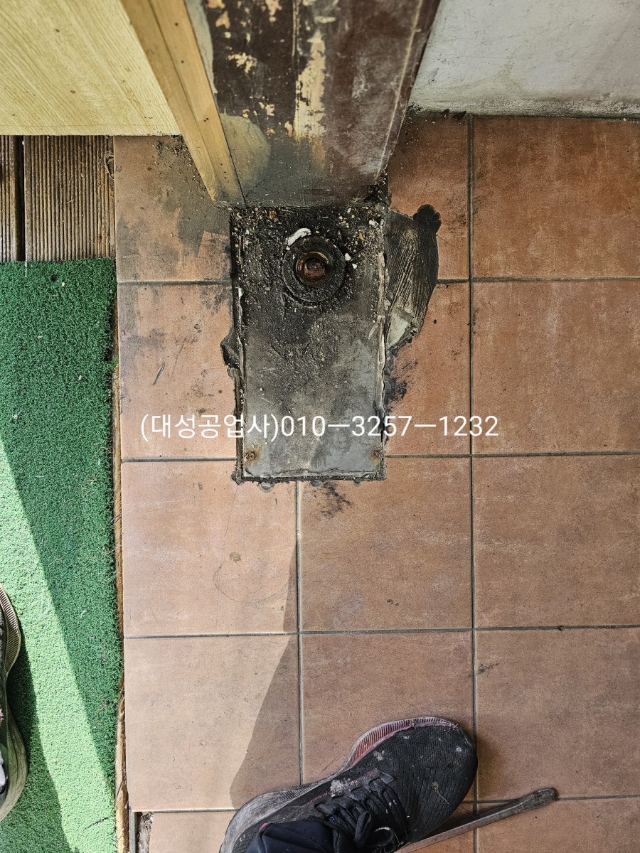 완도쌍둥이네 사진 3