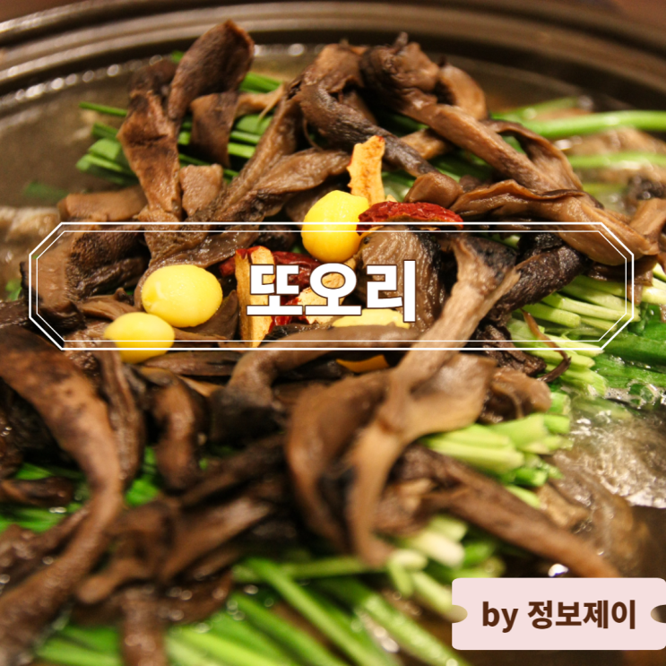  혜화동 맛집 또오리, 대학로오리 맛집