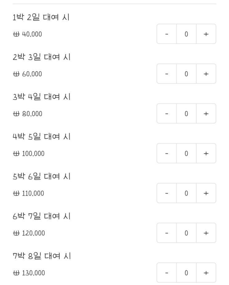  미국 일본 다이슨 공항 대여 업체 정리