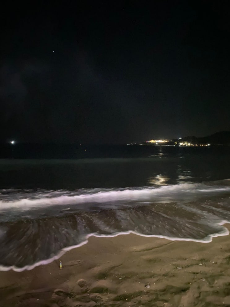  [울산/이색데이트] 데이트코스 진하해수욕장 불꽃놀이