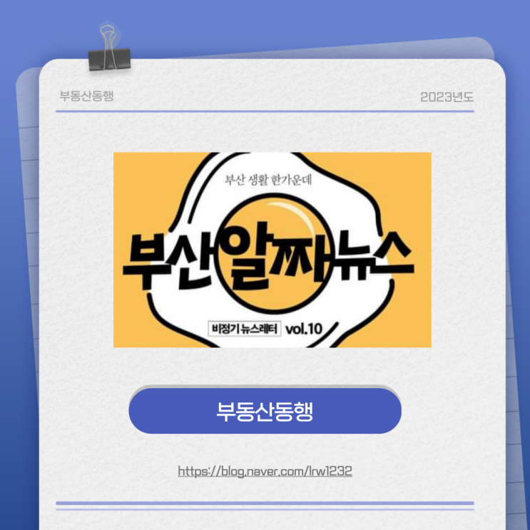  부산 알짜뉴스