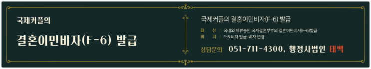  불법체류외국인 정부 합동 단속 실시와 자진출국 외국인 배우자의 결혼이민비자(F-6) 신청