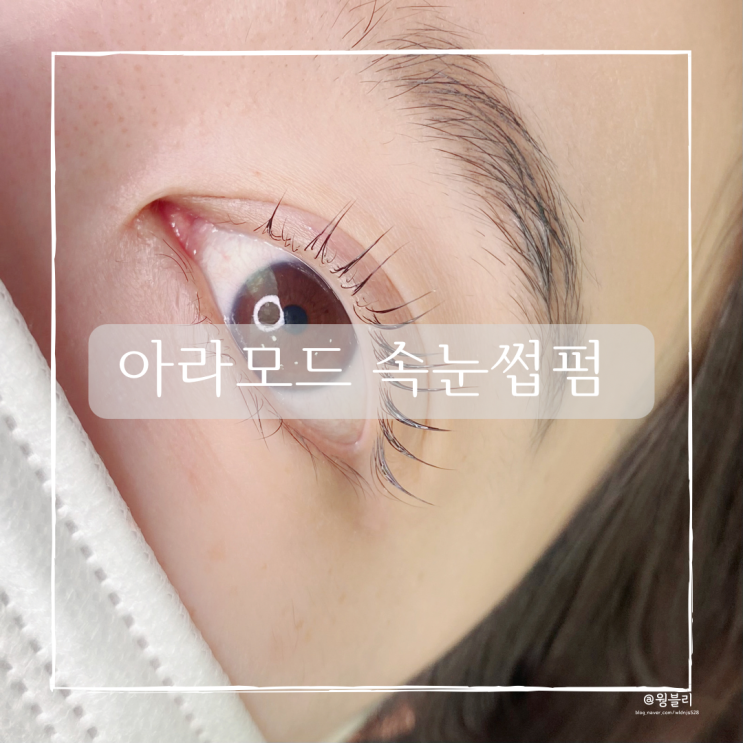  전포 속눈썹펌 잘하는 아라모드