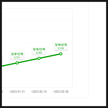 네이버 카페 수익화 방법은? 3개월차 잎새 5단계 상승