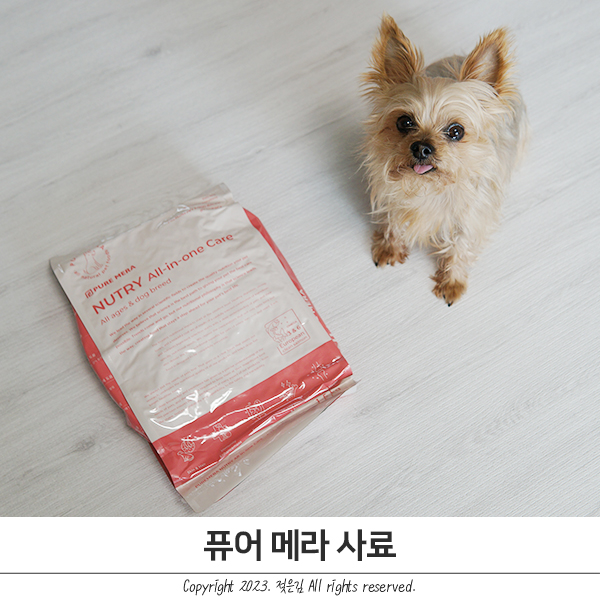 강아지사료추천 잘먹는 퓨어메라 올인원케어 사료 강아지사료추천 잘먹는 퓨어메라 올인원케어 사료