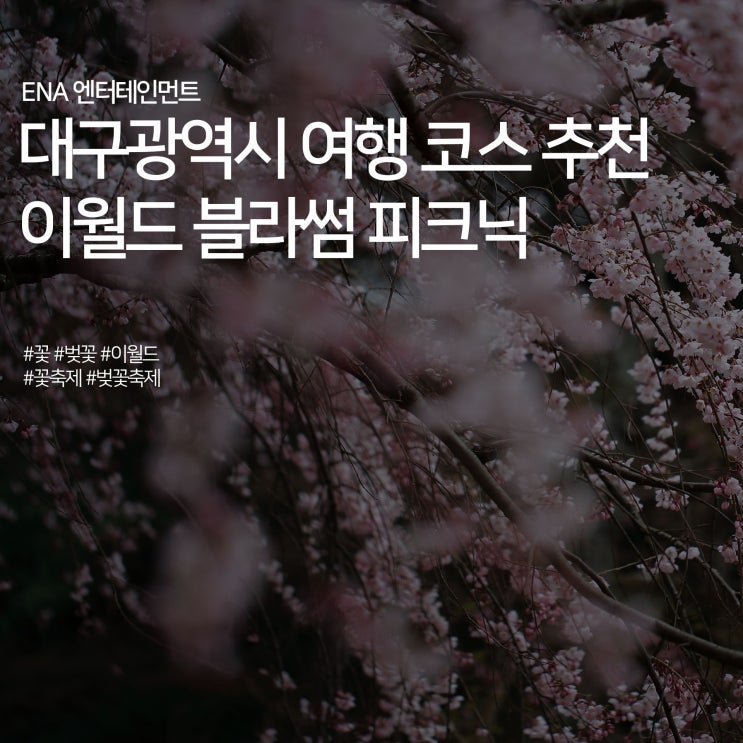 대구 여행 코스 추천 : 이월드 블라썸 피크닉 벚꽃놀이 명소!