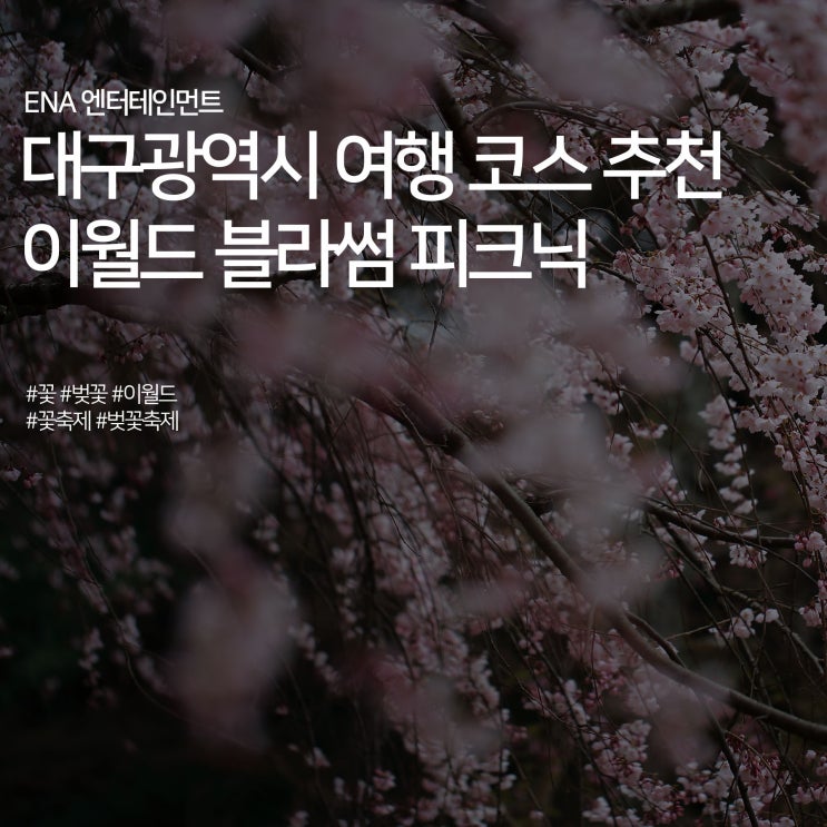  대구 여행 코스 추천 : 이월드 블라썸 피크닉 벚꽃놀이 명소!