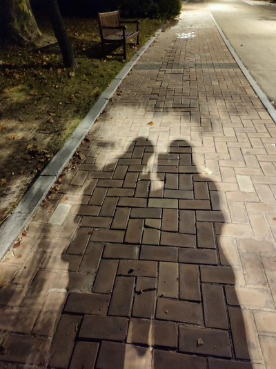  첫글_다시 시작