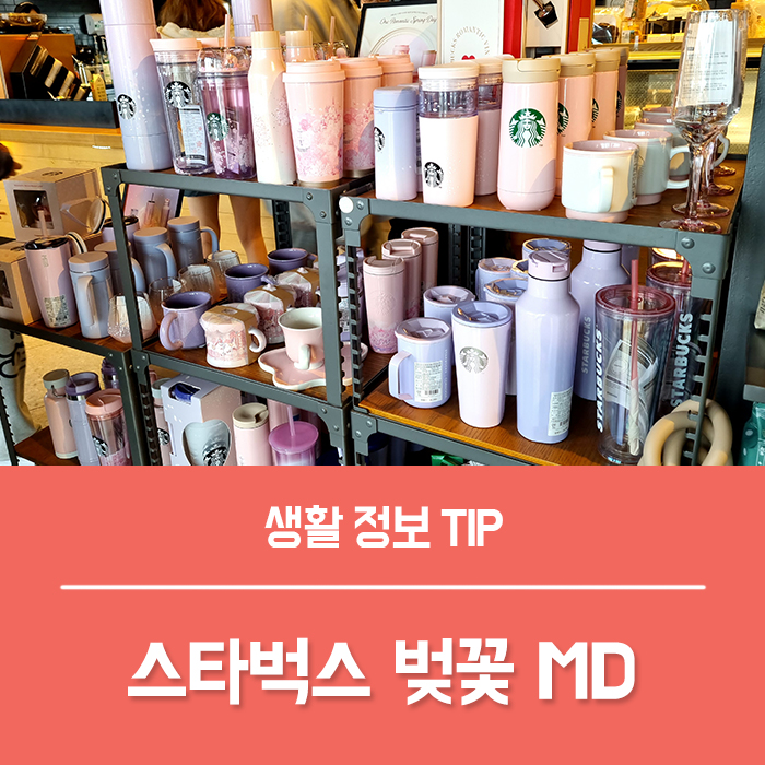  스타벅스 텀블러 벚꽃 MD 2023 체리블라썸 스벅 머그컵 텀블러 콜드컵 총정리!