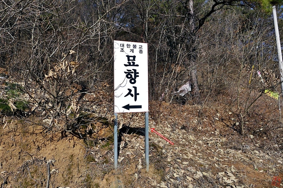 붕산 사진 5