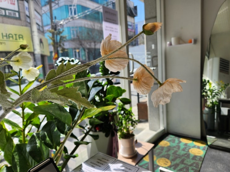  힐링