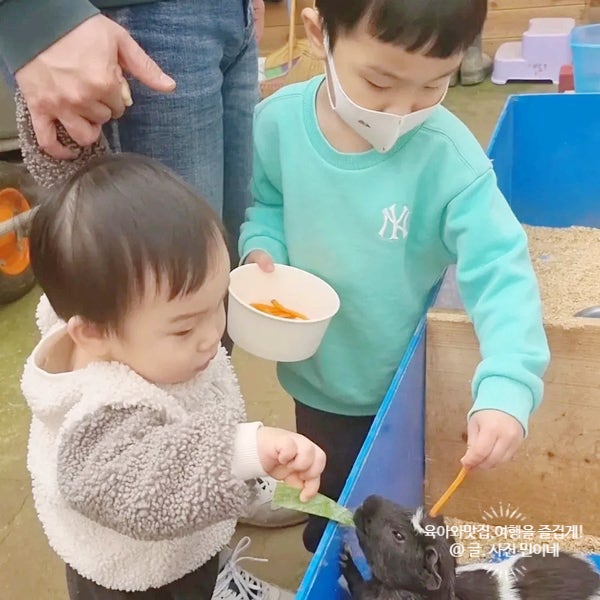  평택 초록미소마을 어린이집 견학장소로 추천하는 이유