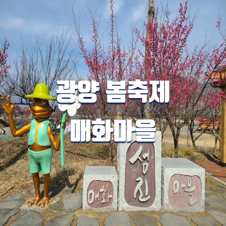 광양 매화축제 3월 봄축제 가볼만한 매화마을 주차장, 볼거리, 행사 정보