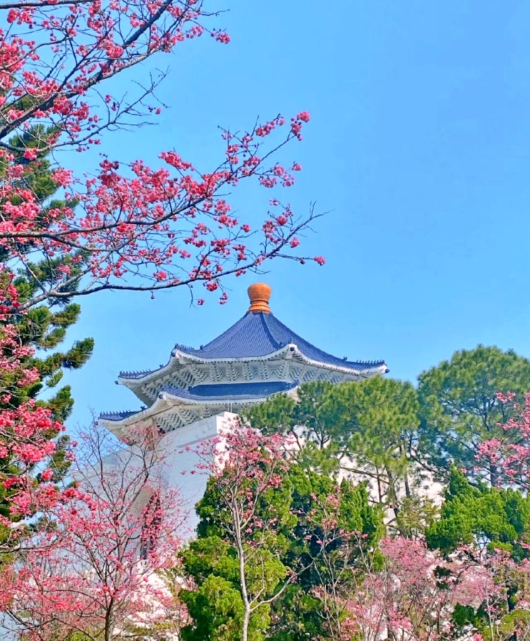 대만항공권 초특가 이벤트 타이베이 자유여행 가볼만한곳 대만항공권 초특가 이벤트 타이베이 자유여행 가볼만한곳