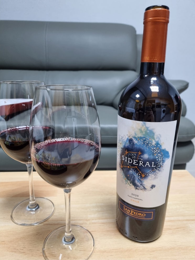  산 페드로 시데랄 2020(San Pedro SIDERAL) / 평점 좋은 칠레 와인(비비노 4.2)