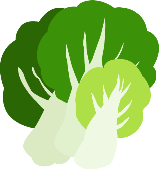  봄동의 맛과 건강 효과, 간단한 요리법 소개 / "bomdong" (Korean vegetable)