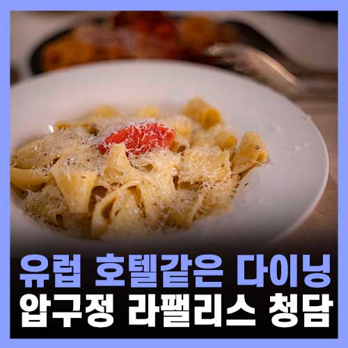  강남구청역 맛집 라팰리스 청담맛집