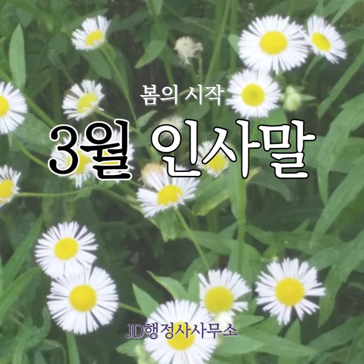  3월 인사말 안부 문자 메시지 등 봄맞이 인사말 인사카톡 2023년 계묘년 3월 인사문구
