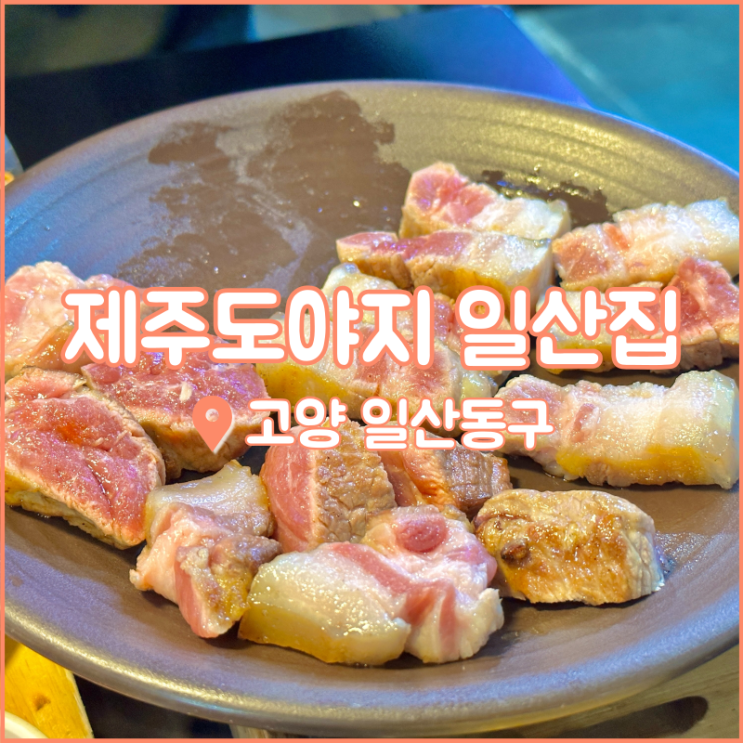  정발산역 맛집, 두툼한 흑돼지 오겹살이 맛있는 제주도야지 일산집