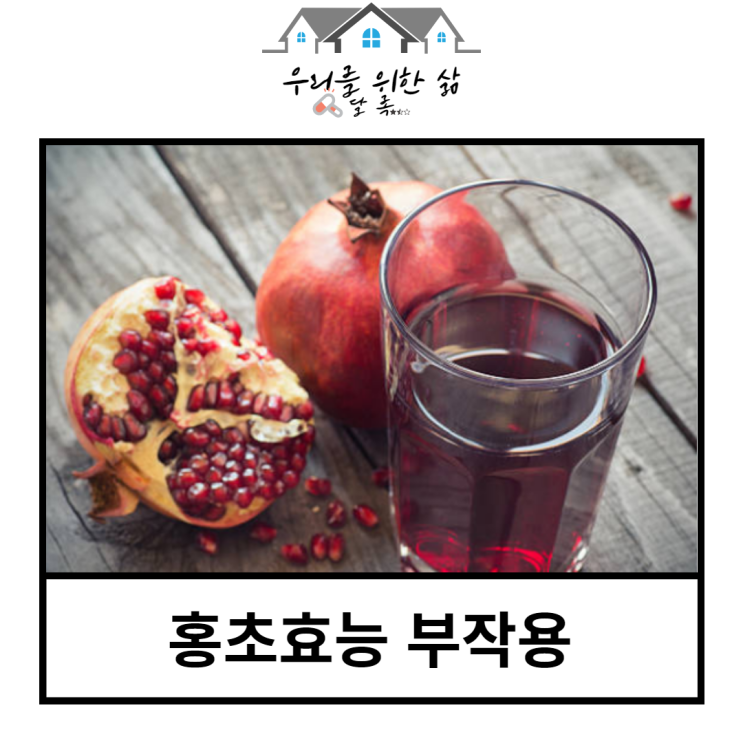  홍초효능 부작용 피부개선 피로개선 체중감량 변비