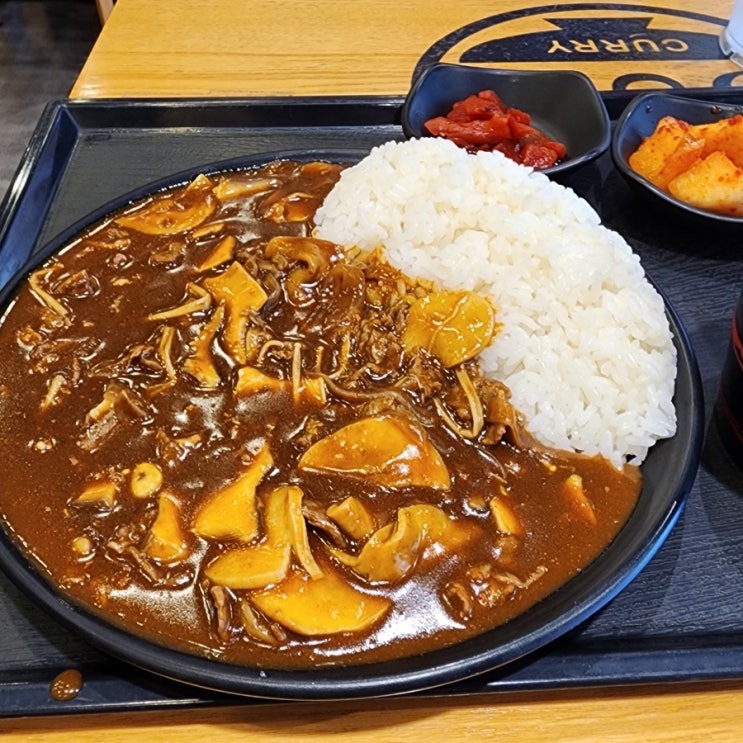  상무지구 아비꼬 광주 카레 맛집 버섯&비프카레 내돈내산 솔직후기