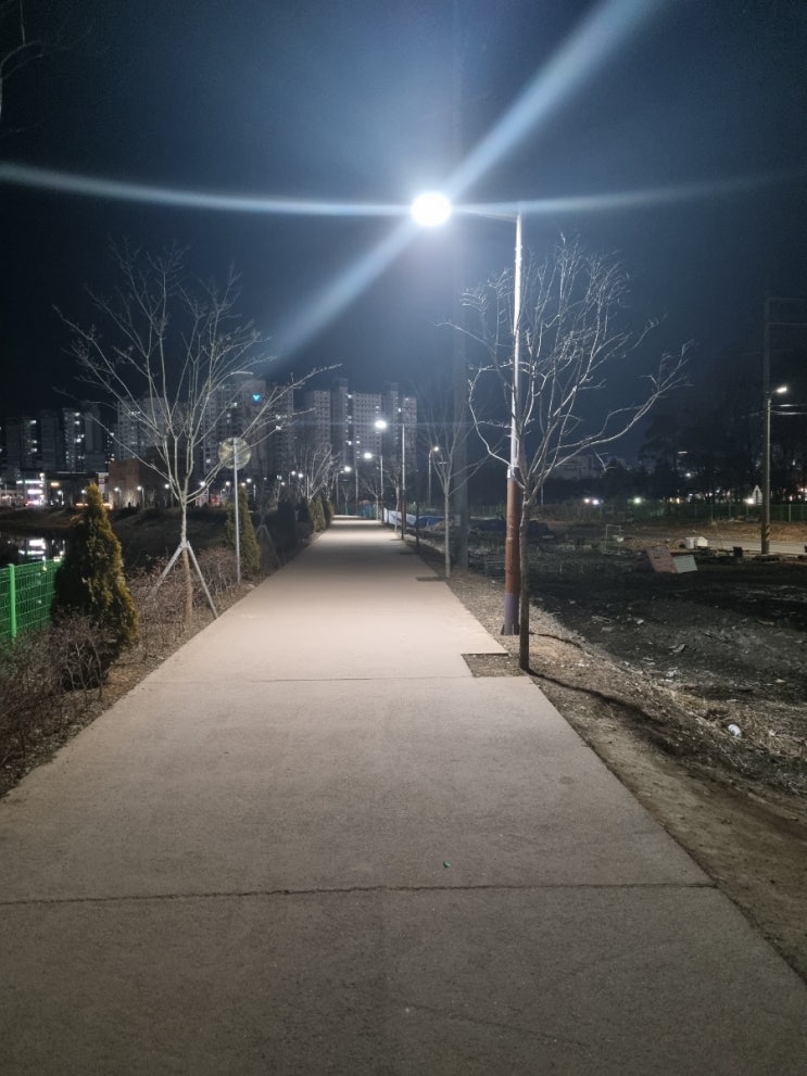  [다이어트]달밤운동