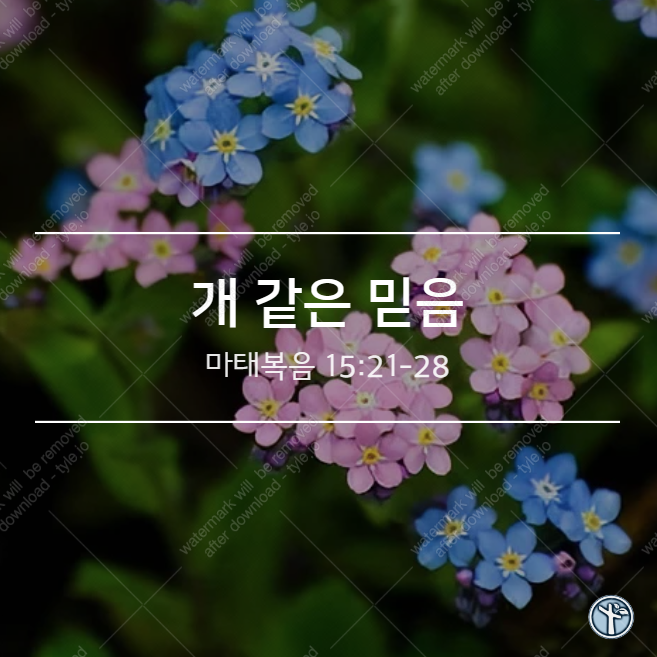  개 같은 믿음 / 마 15:21-28