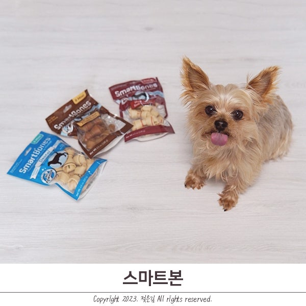 스마트본 소가죽껌 대체 강아지껌 스마트본 소가죽껌 대체 강아지껌