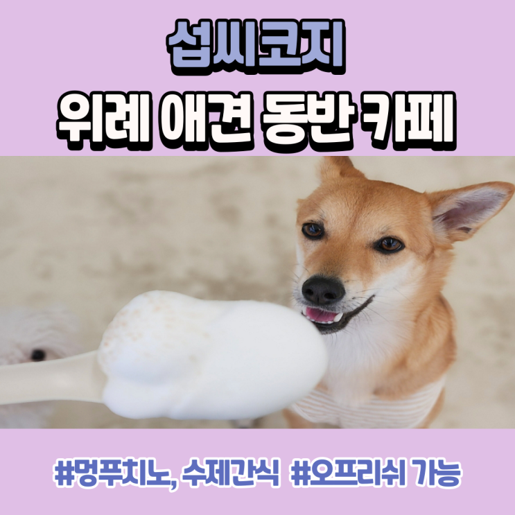 위례 애견동반 카페 멍푸치노 파는 섭씨코지