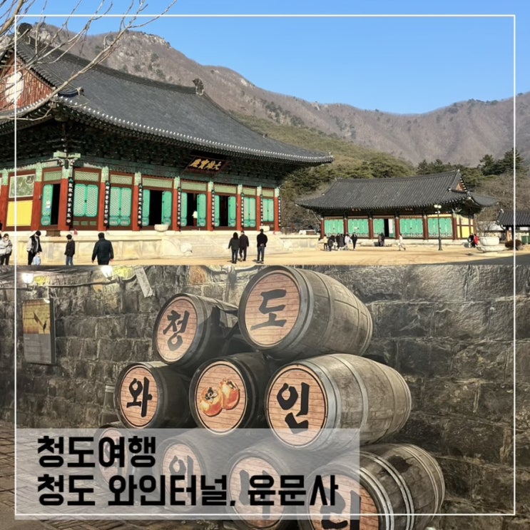  청도 가볼만한곳; 청도 와인터널, 청도 운문사
