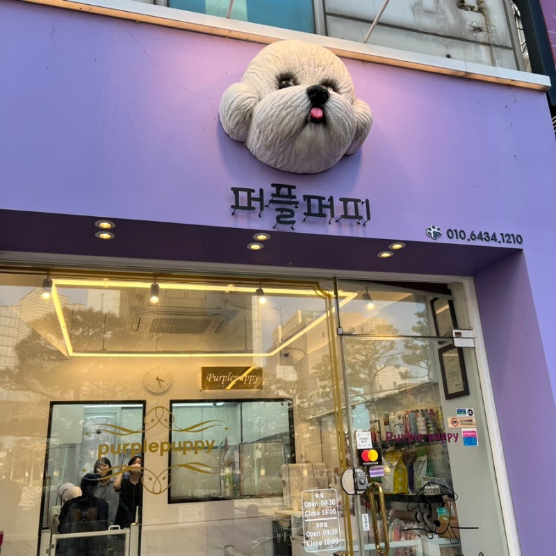 사진 5