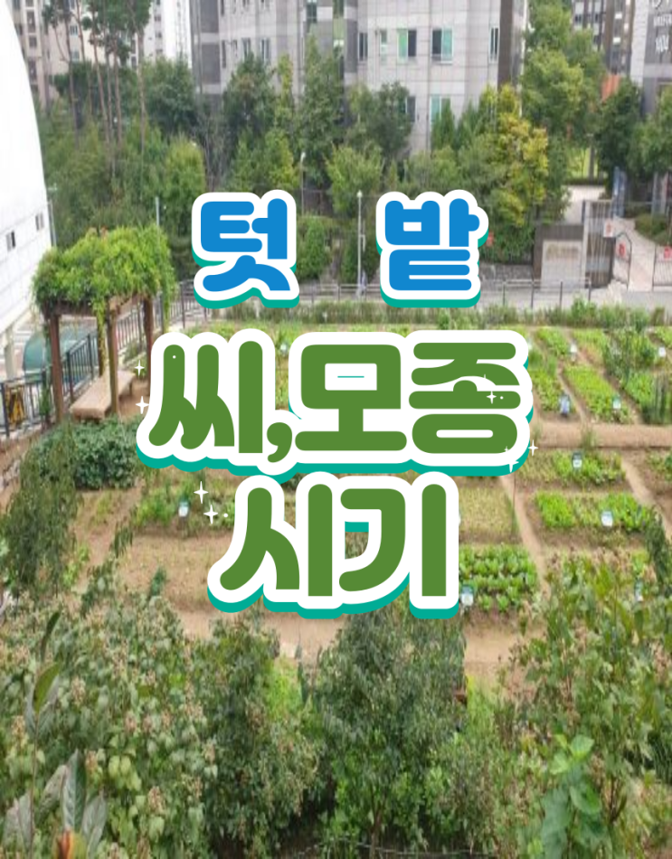  봄텃밭 모종시기 씨뿌리기