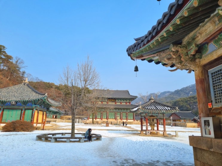  [속리산 여행]충청도 보은 가볼만한 곳_법주사