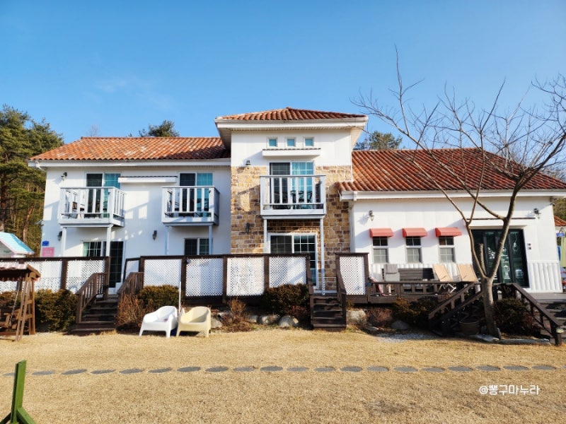 사진 4