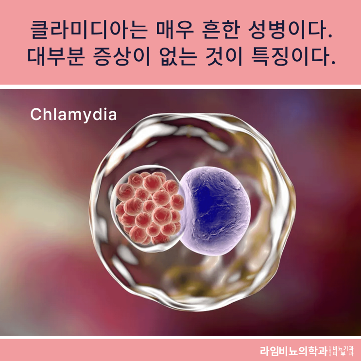  대구에서 성병 검사를 진행할 때 알면 좋은 것들 1ST