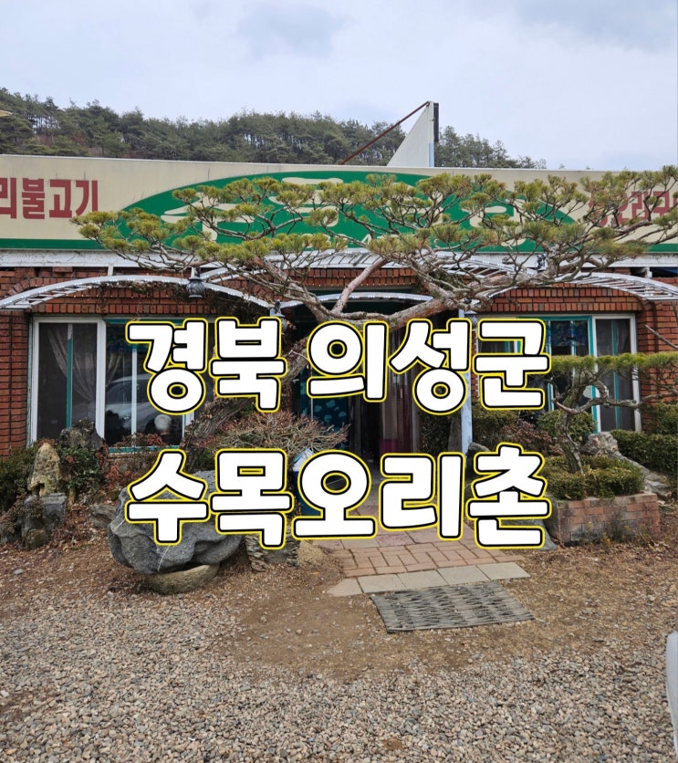  의성군 수목 오리촌 오리불고기 맛집 내돈내산