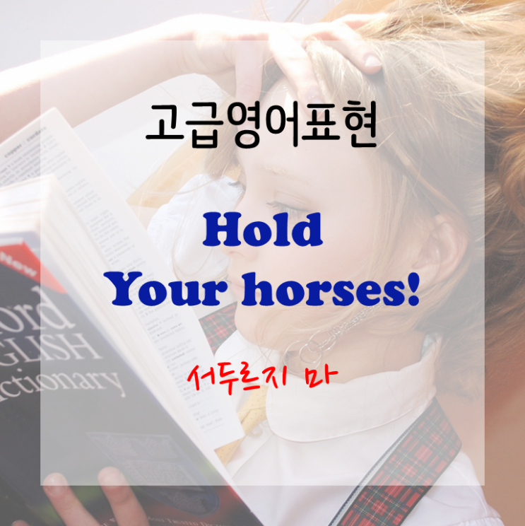 [고급영어표현] Hold your horses - 서두르지 마!