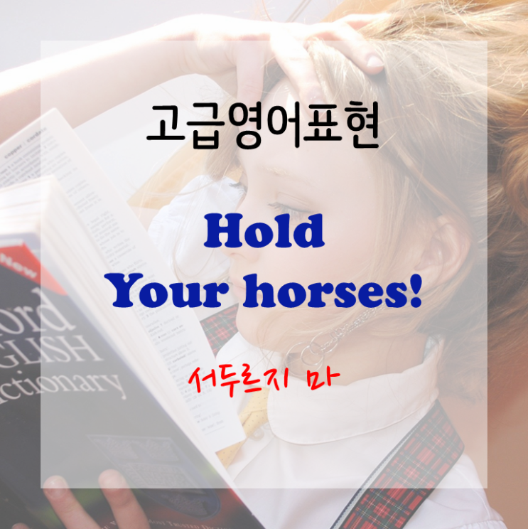  [고급영어표현] Hold your horses - 서두르지 마!