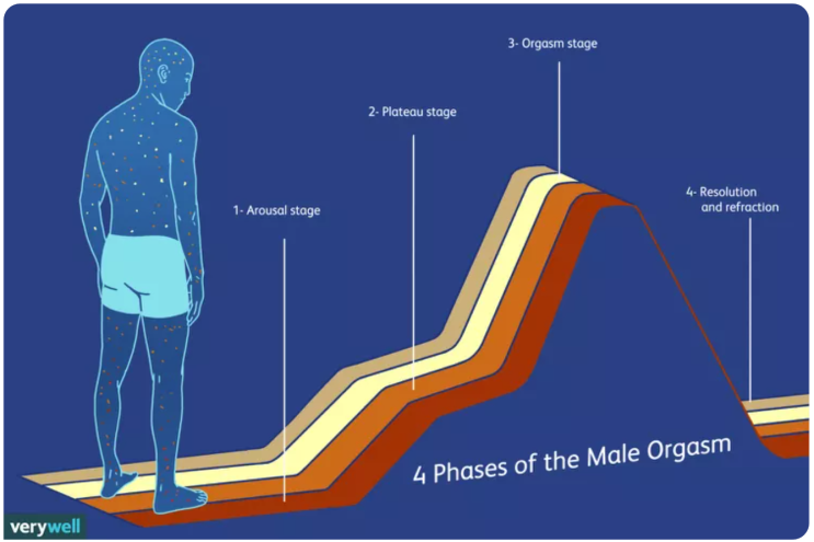  중노년의 ‘관계’ 남녀차이 “심혈관계 부담” vs “건강에 도움”
