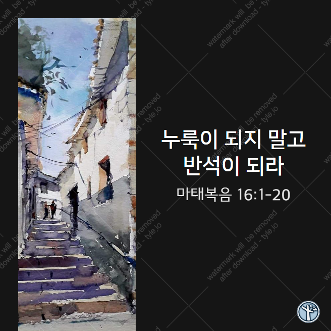  누룩이 되지 말고 반석이 되라 / 마 16:1-20