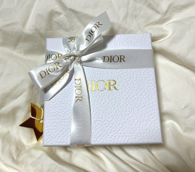  Dior Caro 컴팩트 지퍼 지갑후기