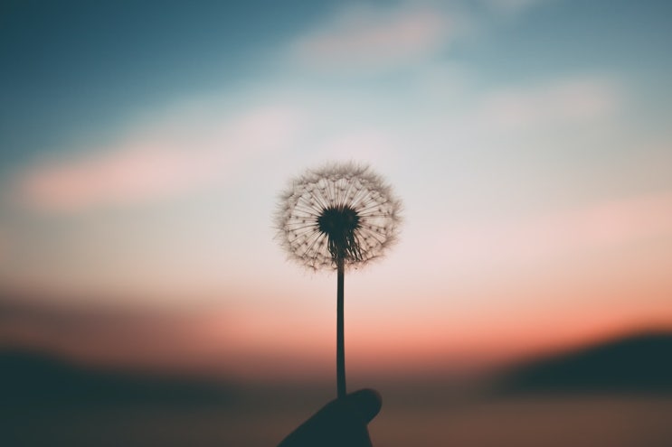 오랜만에 공황장애 일기, 올해는 단약을 목표로 하자 오랜만에 공황장애 일기, 올해는 단약을 목표로 하자