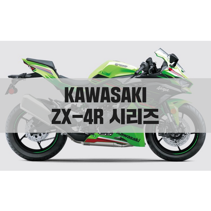 쥬리 1/12 Kawasaki Ninja ZX RR 1/12 Kawasaki Ninja ZX-RR(TM14109
