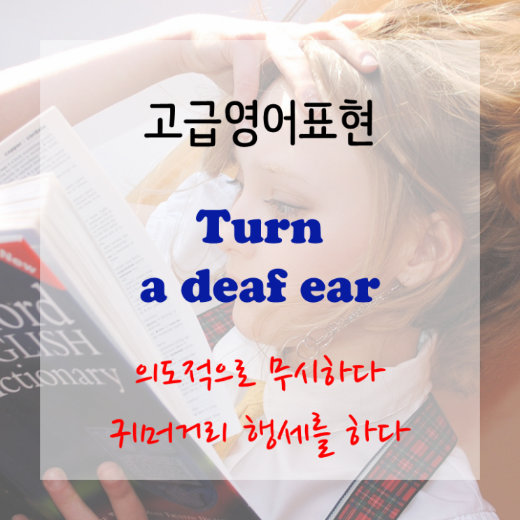 [고급영어표현] turn a deaf ear - (의도적으로) 무시하다 - 귀머거리인 척하다.