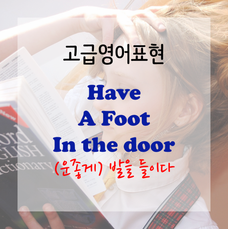  [고급영어표현] have a foot in the door 발을 들이다