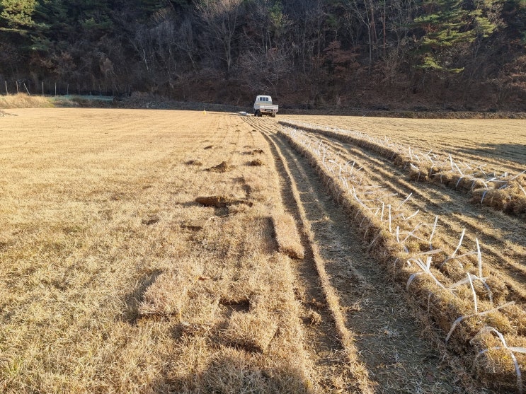  산소잔디 야지잔디 작업 배송 방법